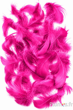 Gans - 4-6 cm - fuchsia
